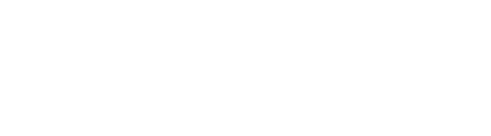 Finiverse LTD wordmark, white