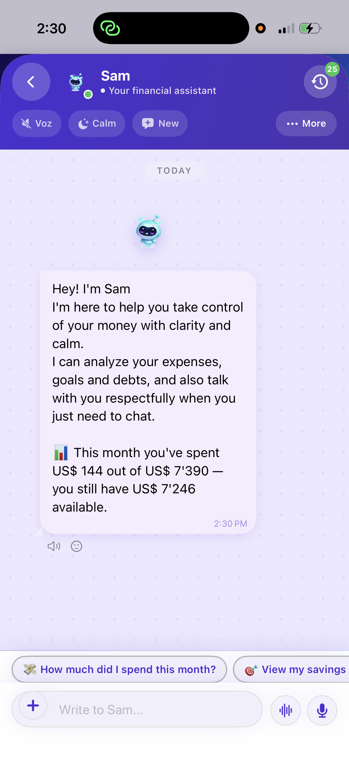 Sam AI chat